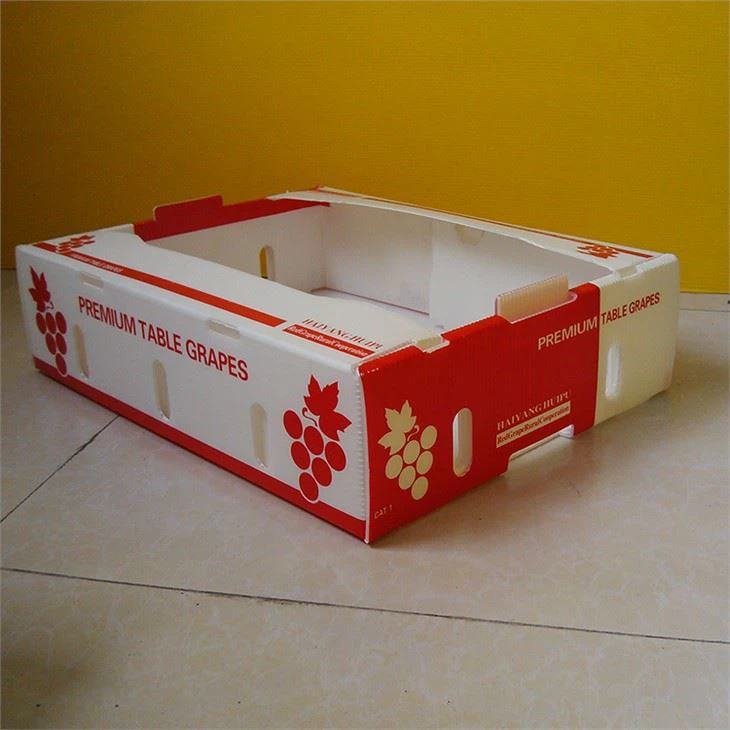 Customized fruit packaging plastic box(001)
