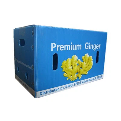 Caixa de facturació de plàstic buida PP