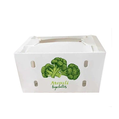 Caixa plegable corrugada de plàstic reutilitzable