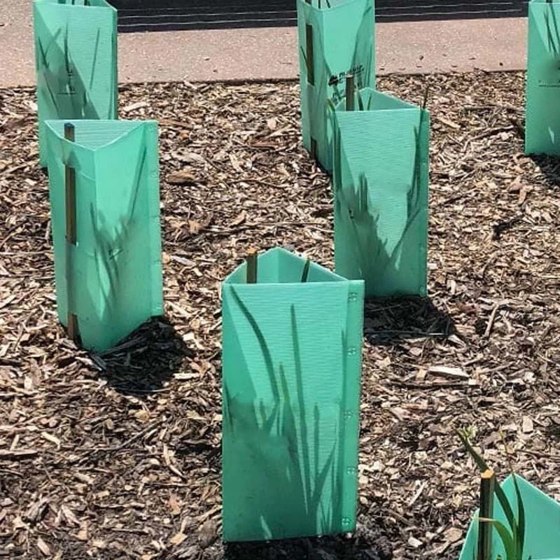 Mantis Fluted Tree Guards suppliers
