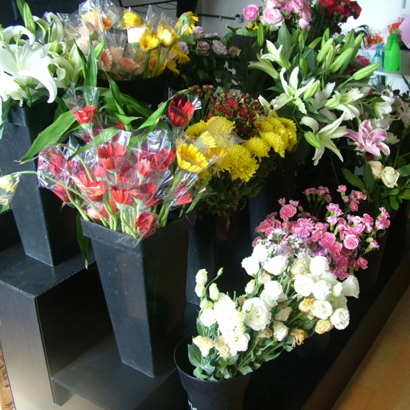 PP Flower Display Stand suppliers