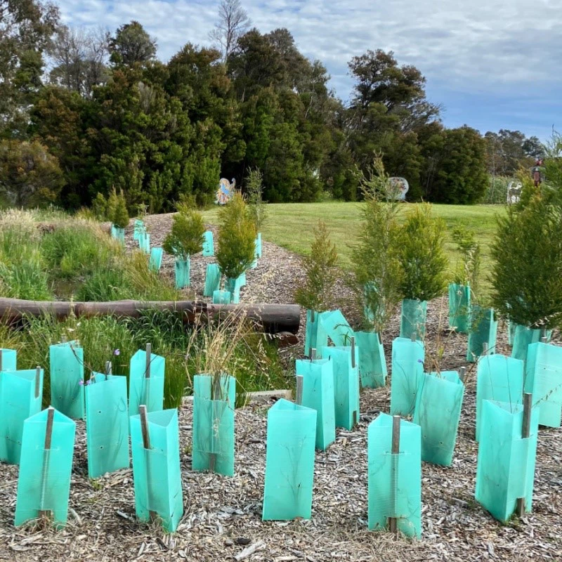 Mantis Fluted Tree Guards Mantis Fluted Tree Guards