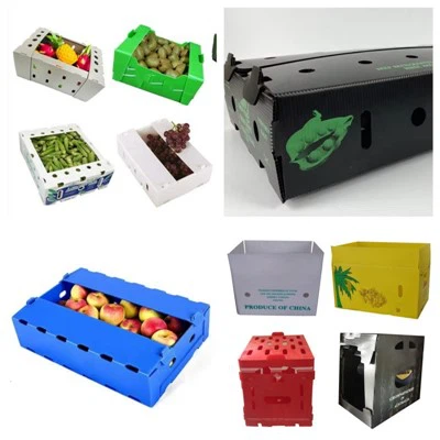 Caixa d'embalatge de fruites