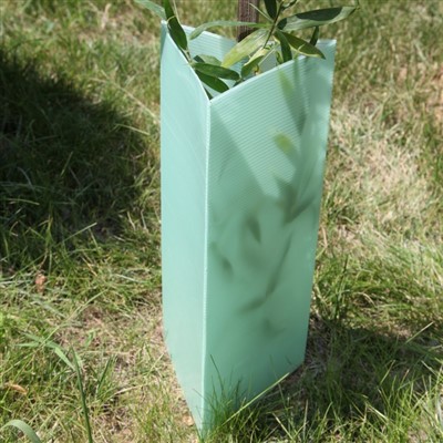 Protectors d’arbres de resistència a la UV